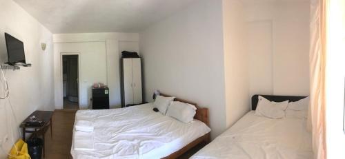 Vila Stefan 2 Costinesti (VS2C) - 704