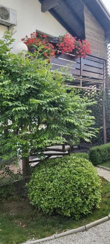 Alexander House - 53