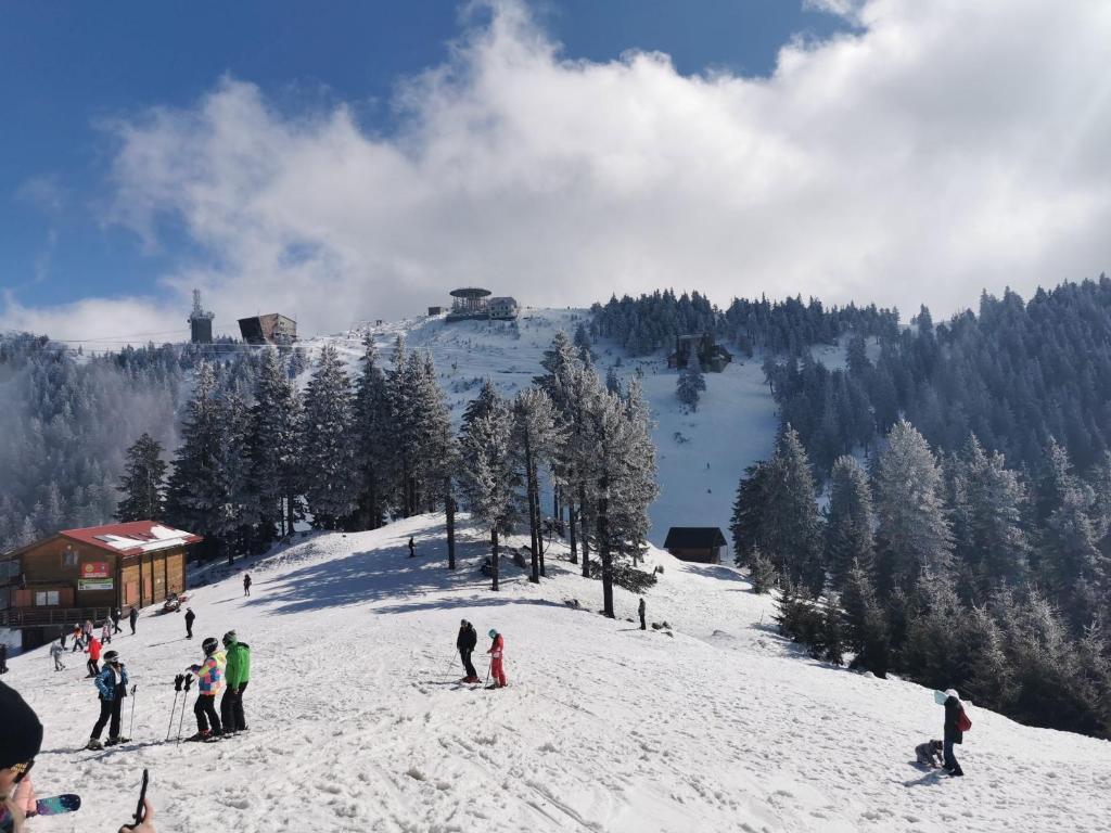 Alpin Resort Apartment 508 - 659