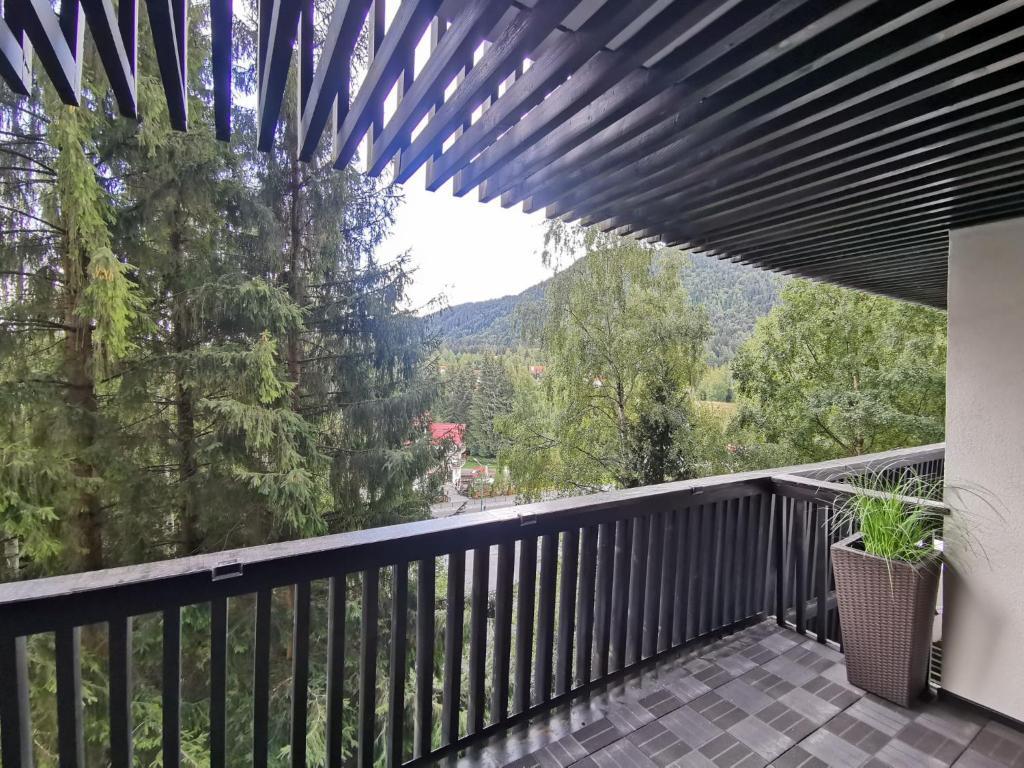 Alpin Resort Apartment 508 - 320