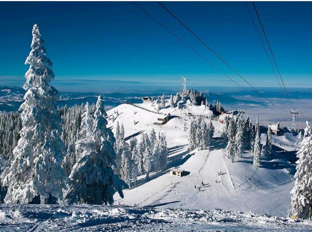 Alpin Resort Apartment 508 - 749