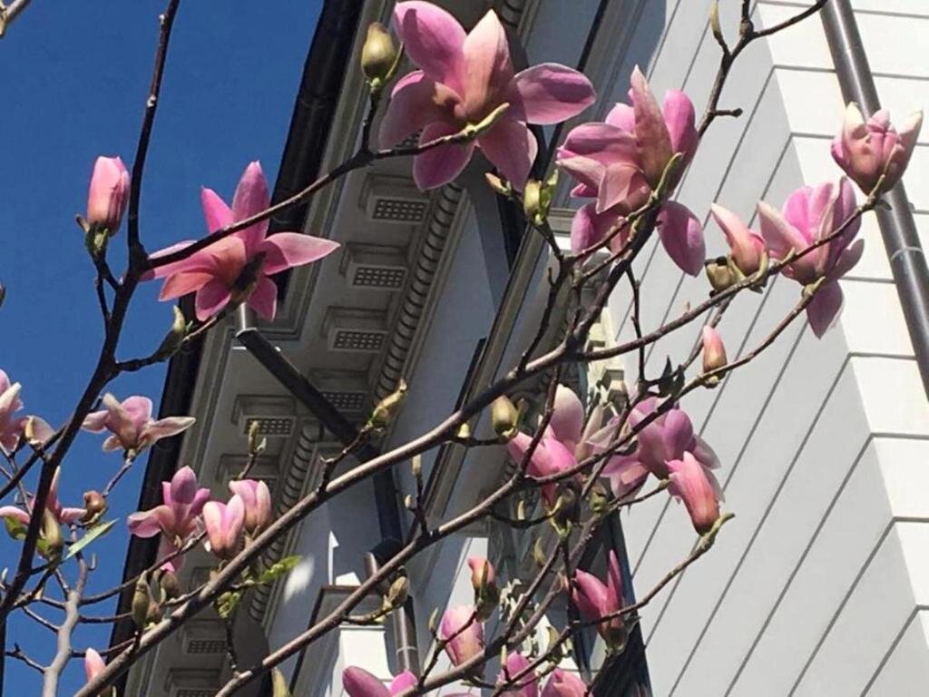 Atrium Hotel Ateneu City Center - 787