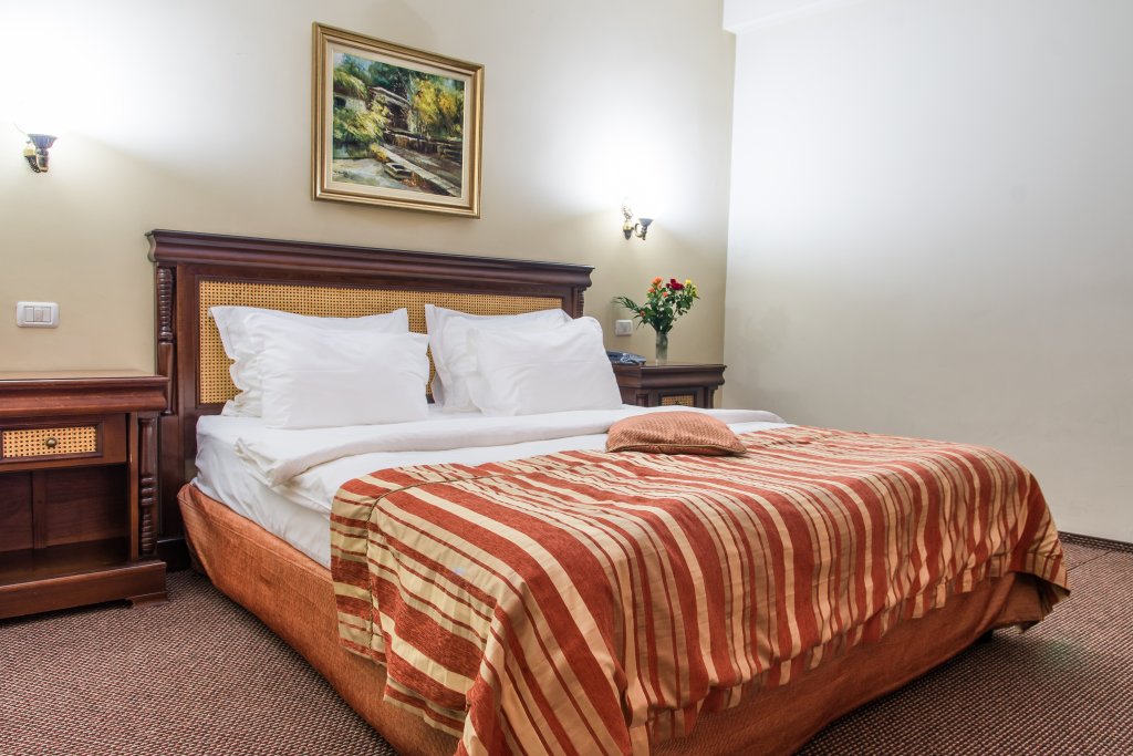 Atrium Hotel Ateneu City Center - 559
