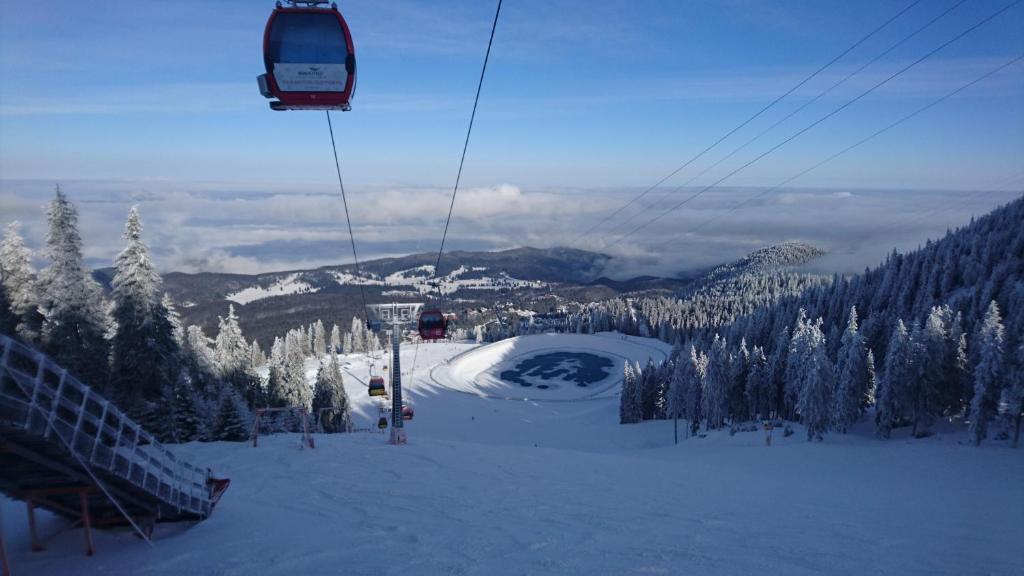 Apartament Alpin Poiana Brasov , etaj 8 - 567