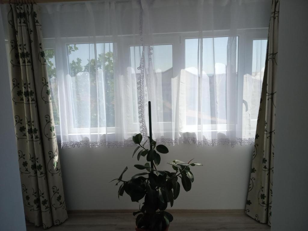 Apartament Alyn - 141