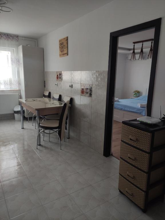 Apartament Camelia - 555