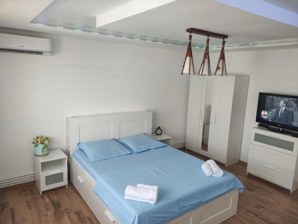 Apartament Camelia - 41