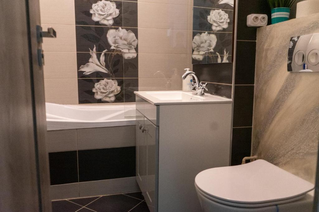 Apartament Central Radu - 320