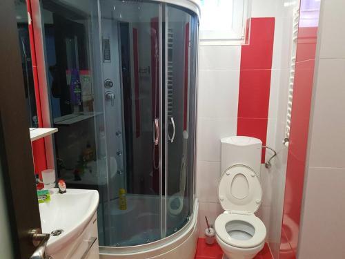 Apartament Confort - 985