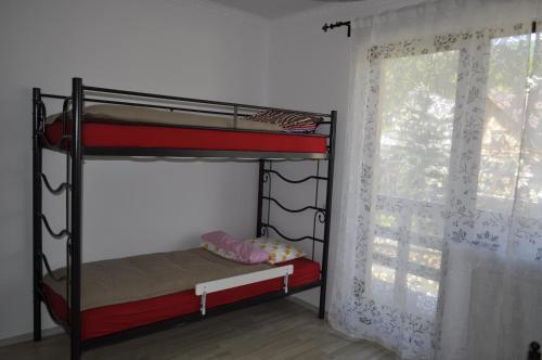 Apartament Holiday Busteni - 867