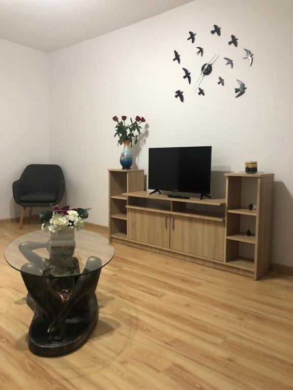 Apartament Kiseleff - 749