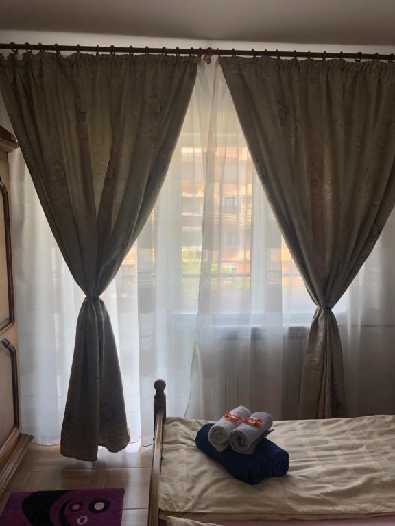 Apartament Kiseleff - 611