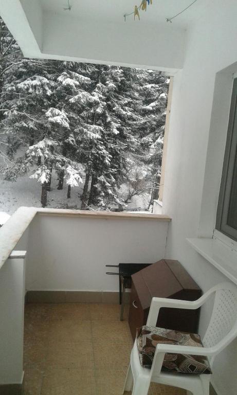 Apartament Nemira - 636