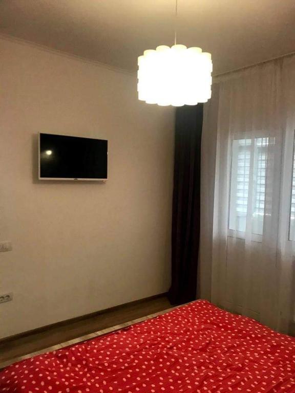Apartament Radu - 993