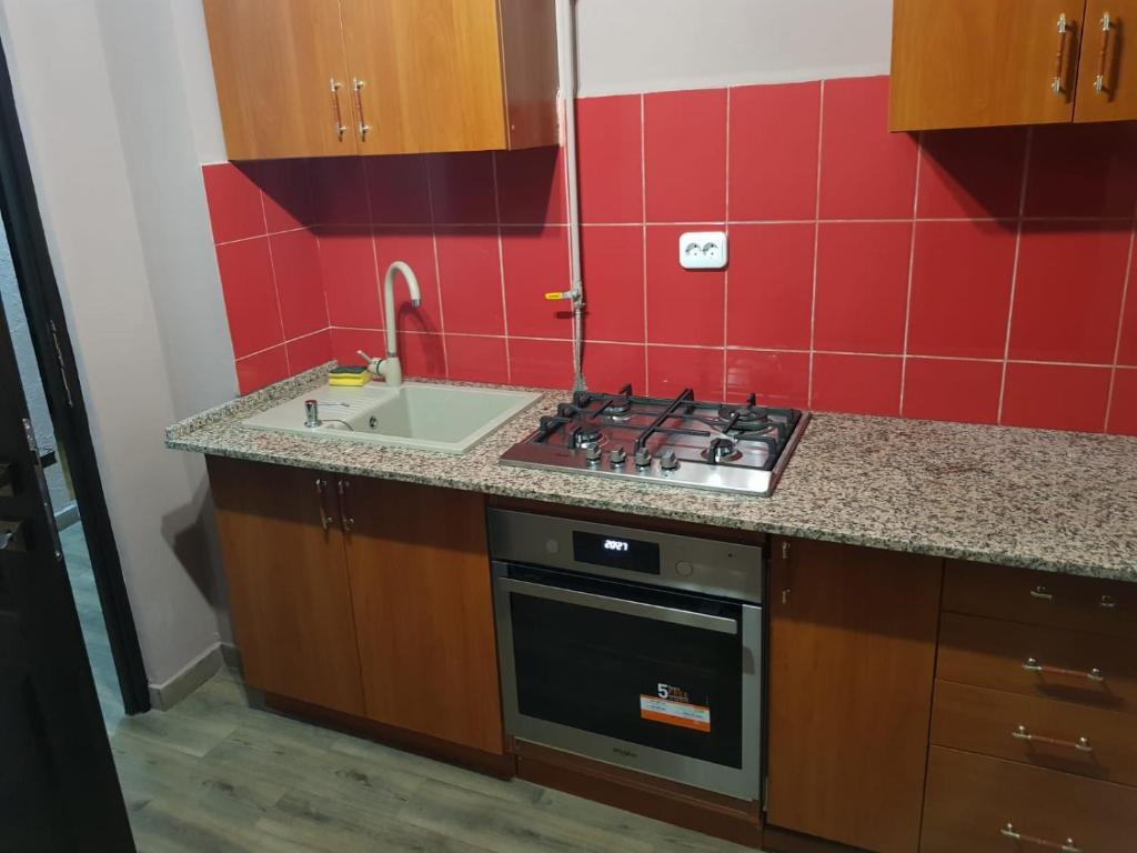Apartament Rosi - Straja (Lupeni) - 114