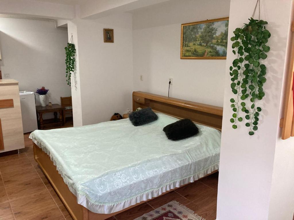 Apartament Select - 463