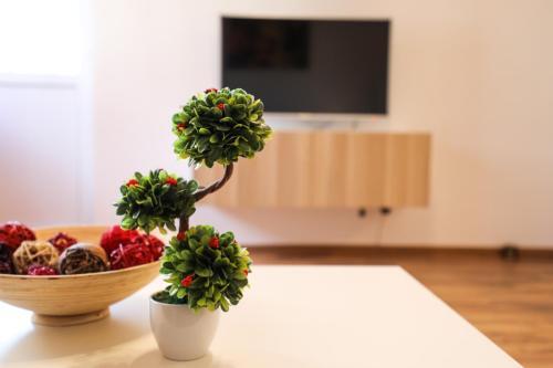 Apartament, Ultracentral, Zona Piata Victoriei - 831