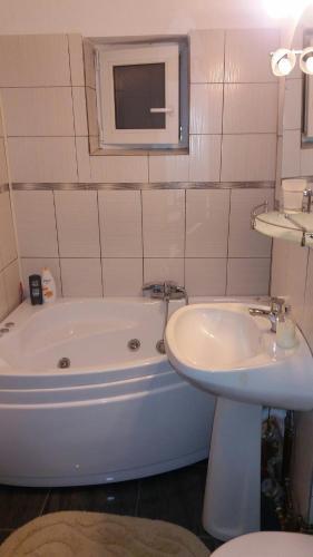 Apartament Valcea - 163