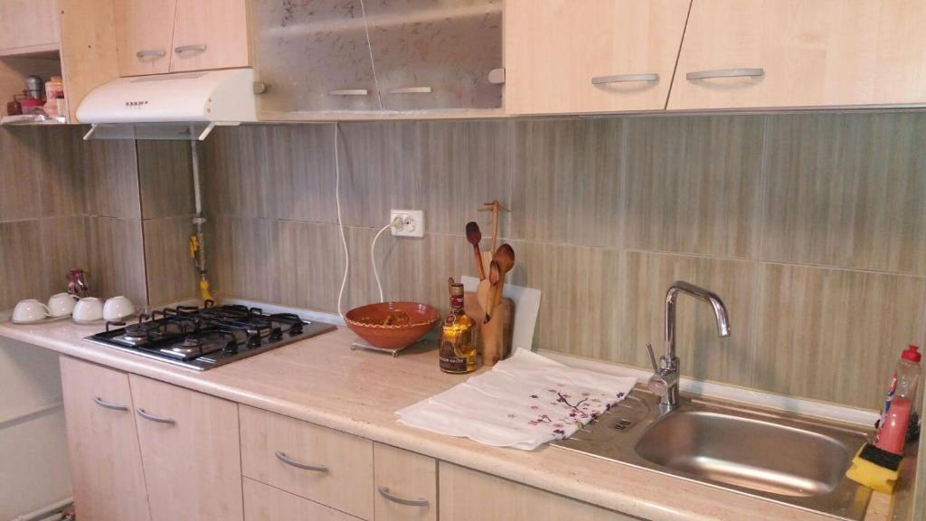 Apartament Valcea - 250