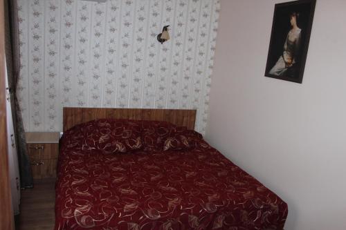Camere-Apartament Steyna - 892
