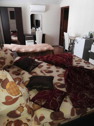 Camere-Apartament Steyna - 721