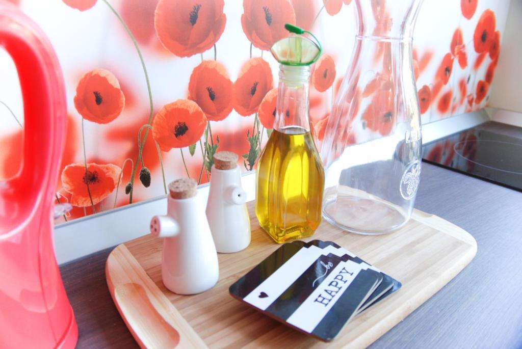 Apartment House Timisoara - 247