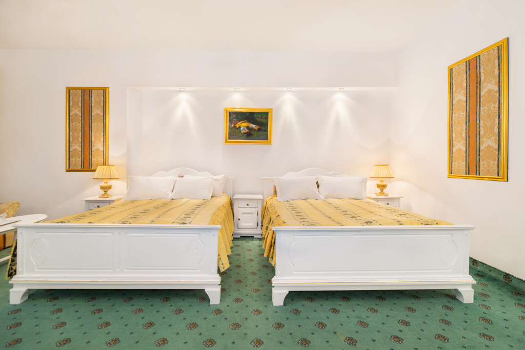 Hotel Aurelius Imparatul Romanilor - 161