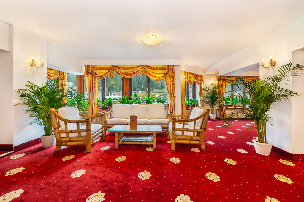 Hotel Aurelius Imparatul Romanilor - 248