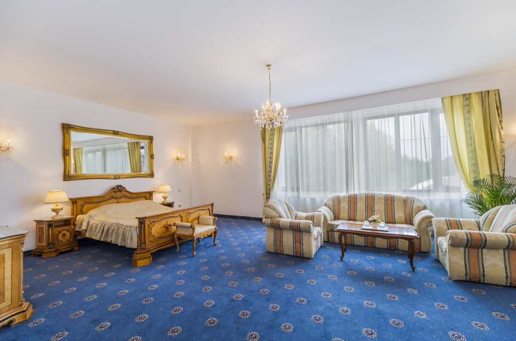 Hotel Aurelius Imparatul Romanilor - 90