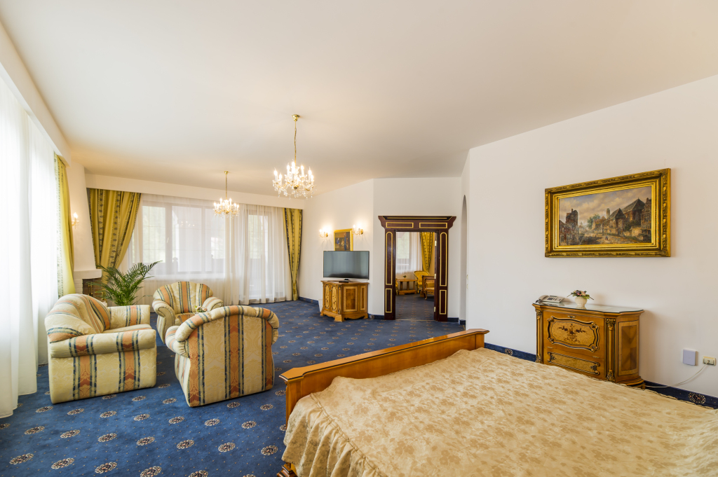 Hotel Aurelius Imparatul Romanilor - 518
