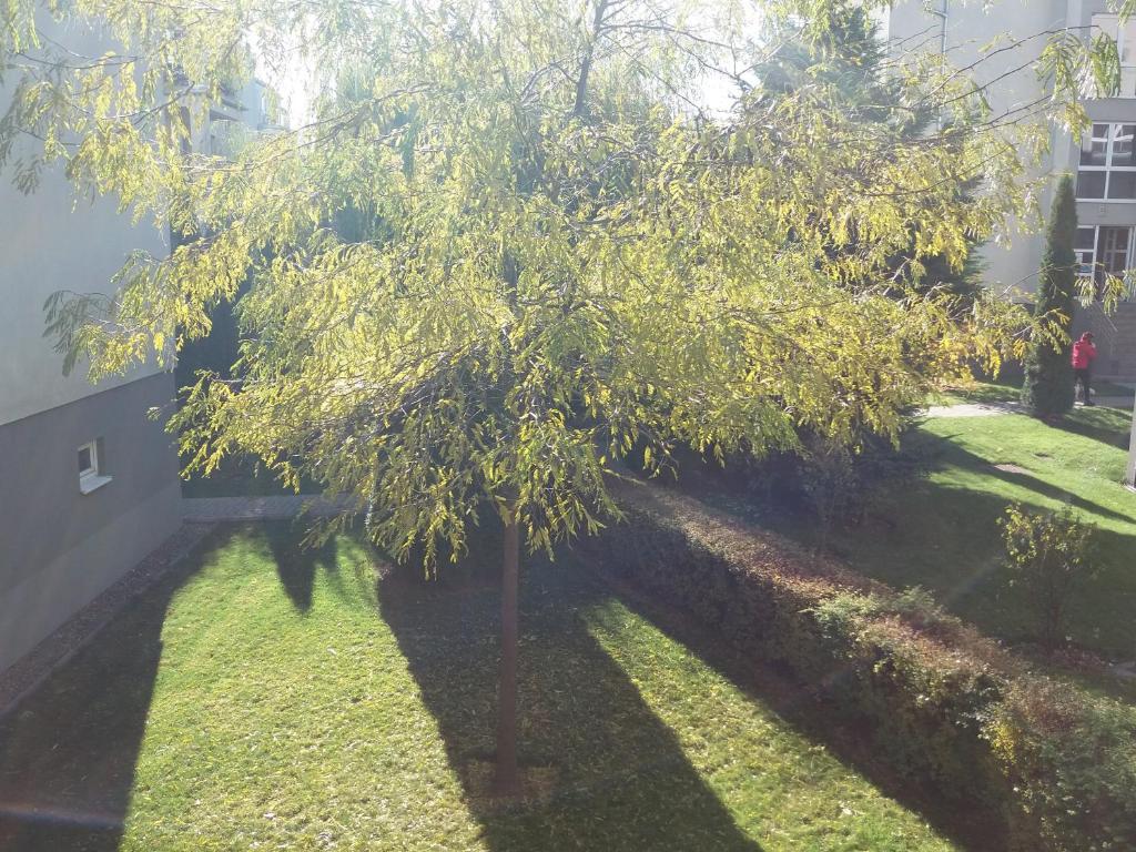 Avantgarden1 .Apartament lux - 420