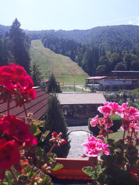Azuga Ski & Bike Resort - 745