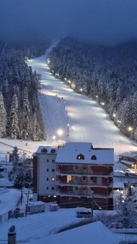 Azuga Ski & Bike Resort - 263