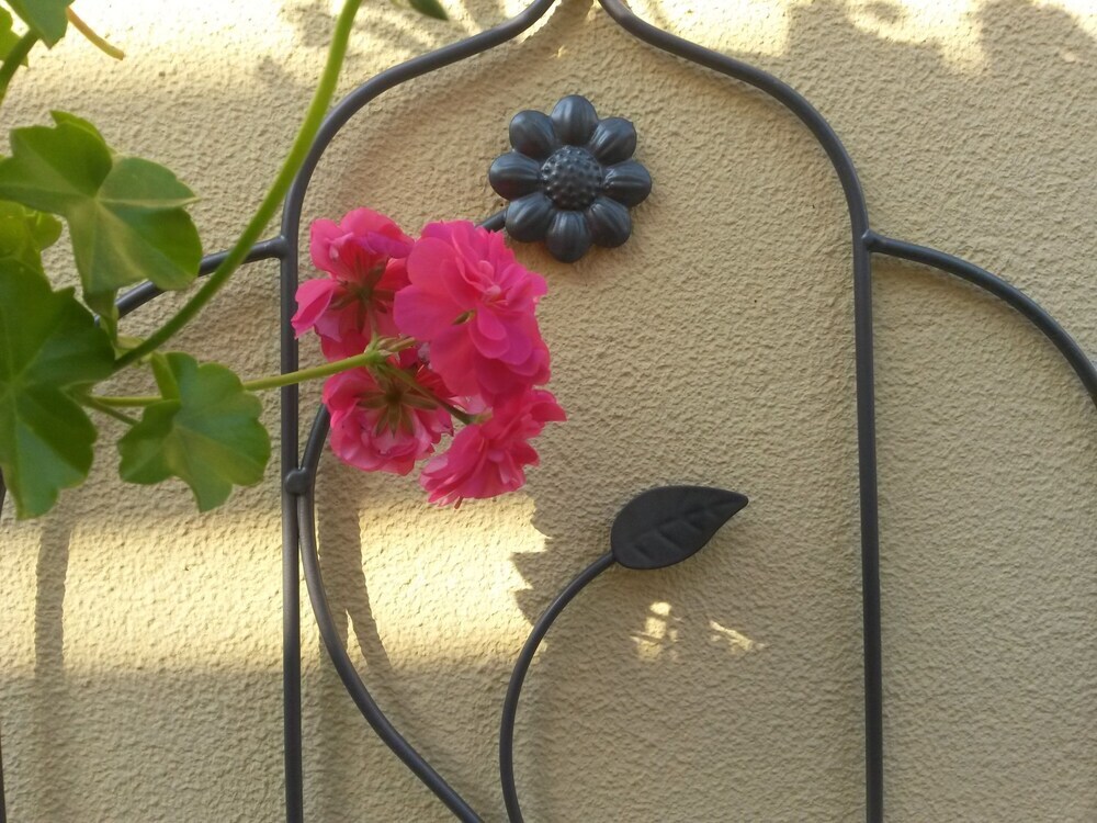B&B Casa Mica Guesthouse - 99