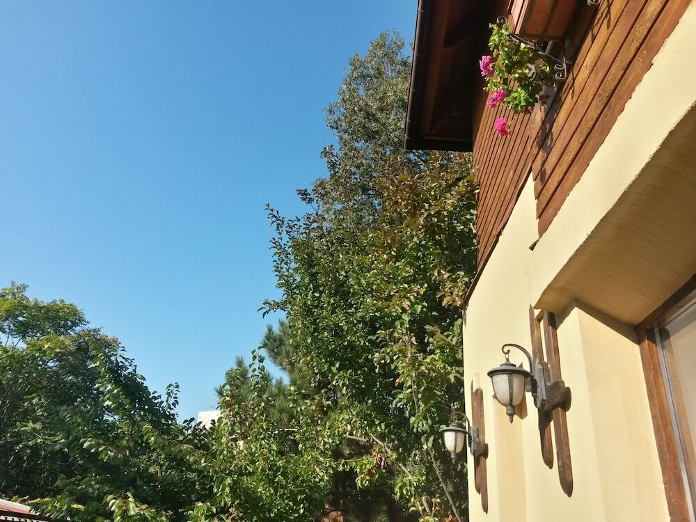 B&B Casa Mica Guesthouse - 765
