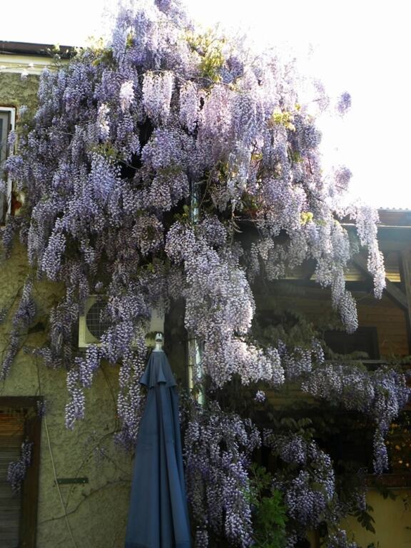 B&B Casa Mica Guesthouse - 764