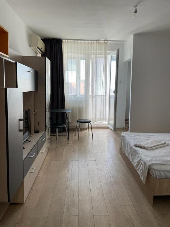 Bega Cirumvalatiunii One Room Apartment- 4 - 699