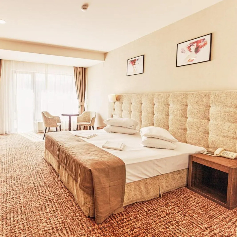 Belvedere Hotel Brasov - 457