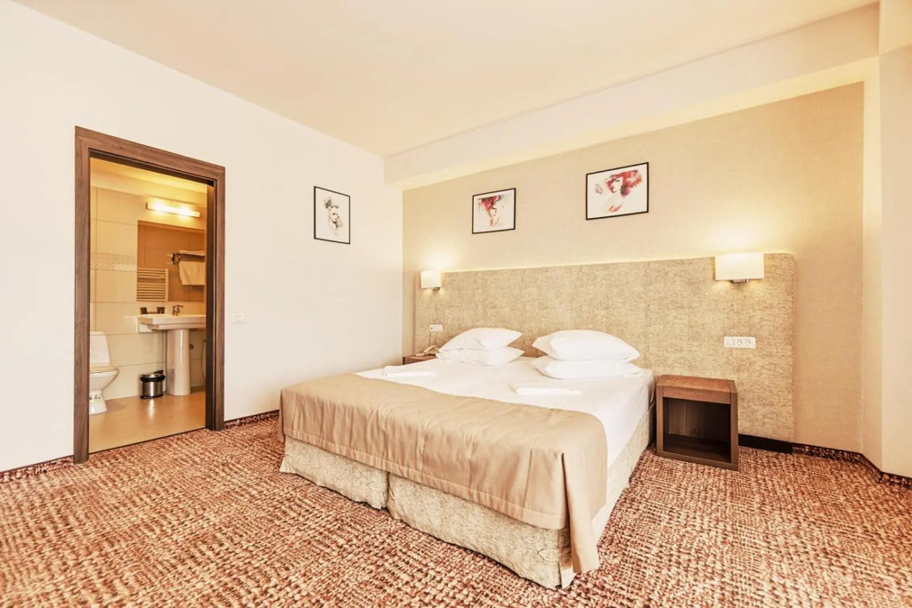 Belvedere Hotel Brasov - 570