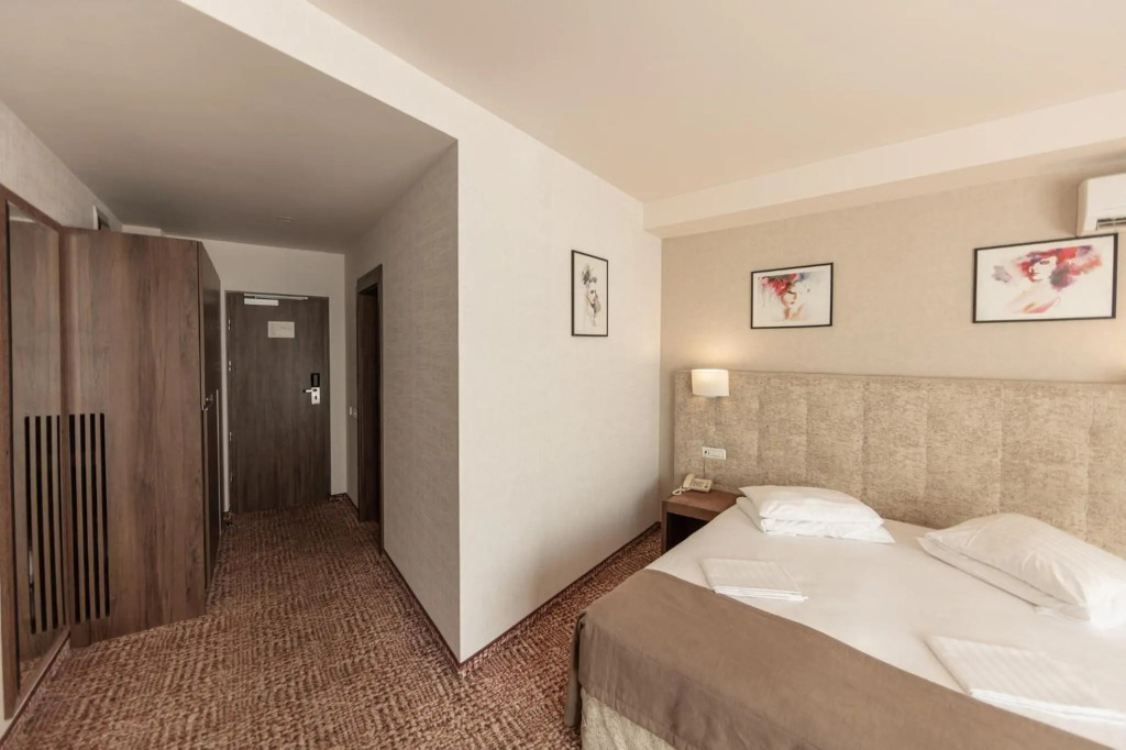 Belvedere Hotel Brasov - 594