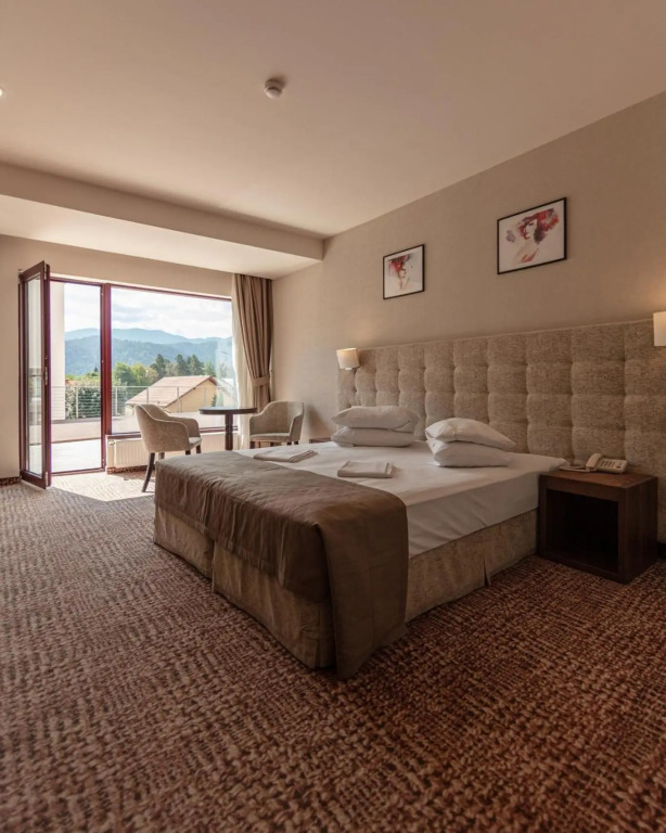 Belvedere Hotel Brasov - 383