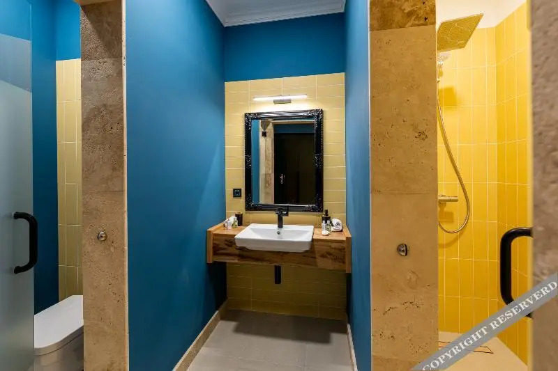 Boutique Hotel Cocosul De Aur - 585