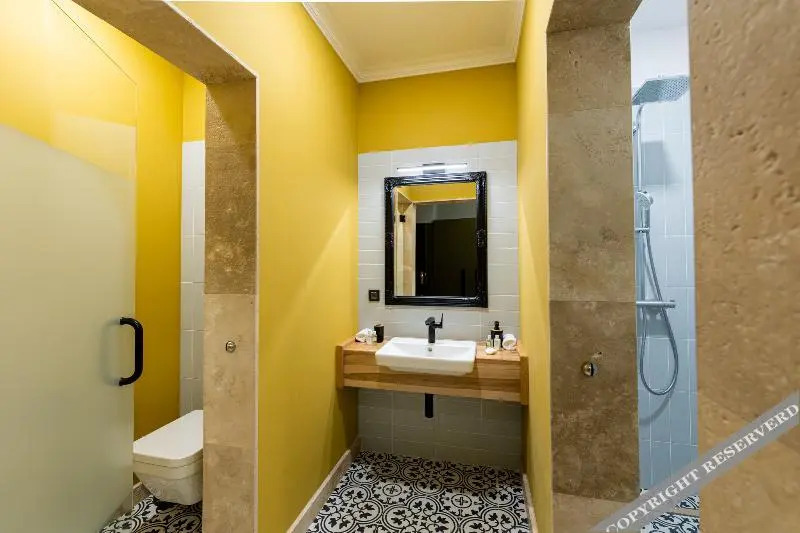 Boutique Hotel Cocosul De Aur - 15