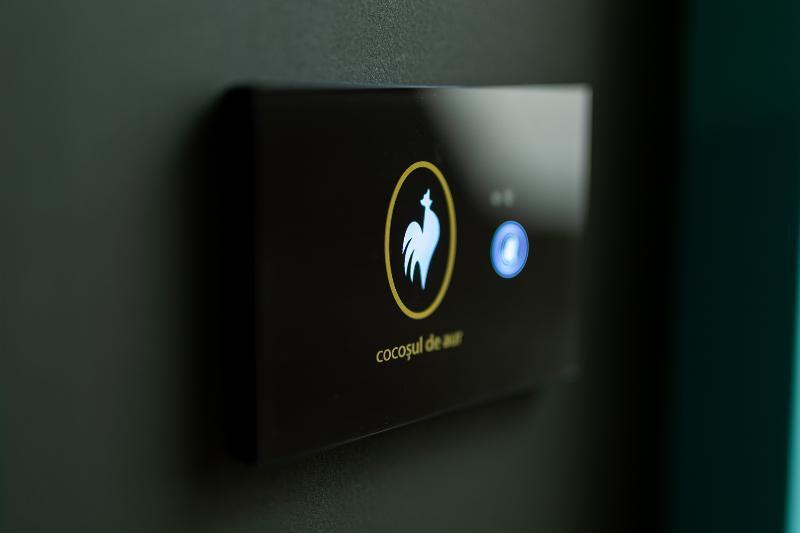 Boutique Hotel Cocosul De Aur - 336
