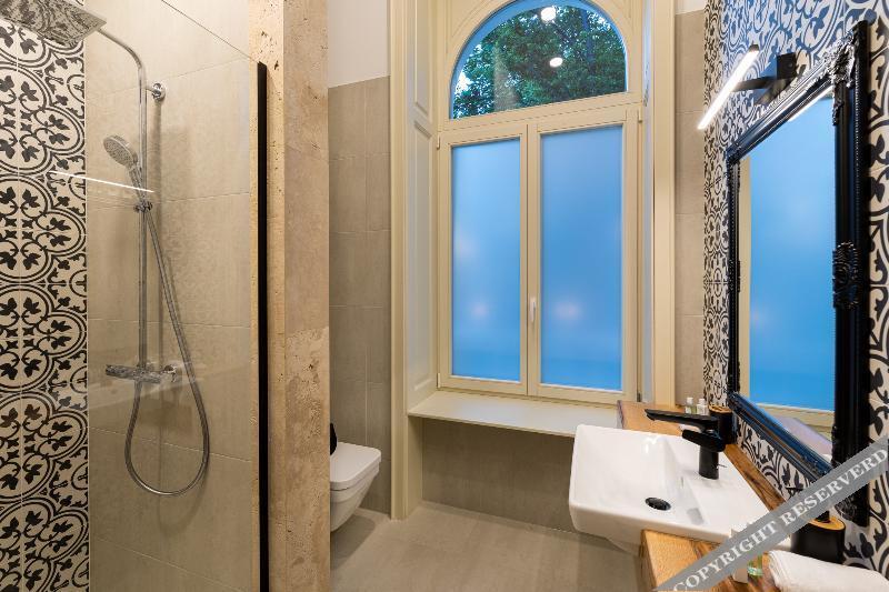 Boutique Hotel Cocosul De Aur - 339