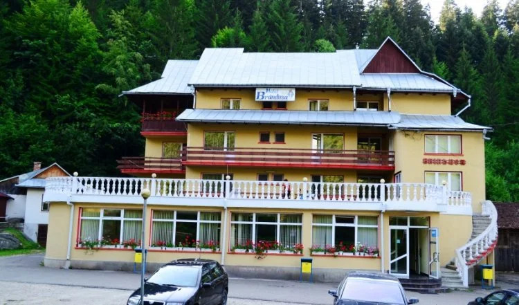 Hotel Brandusa - 501