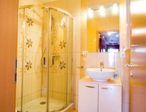 Brasov Penthouse Retreat - 662