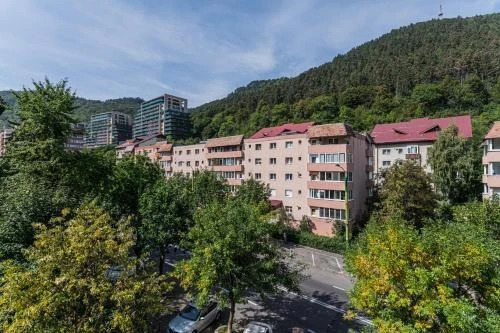 Brasov Welcome Apartments - 238