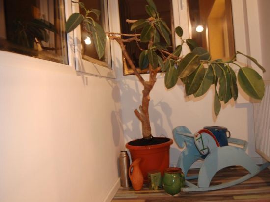 Brasov Welcome Apartments - 470