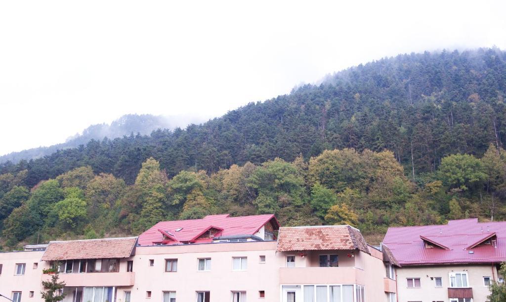 Brasov Welcome Apartments-Classic - 531